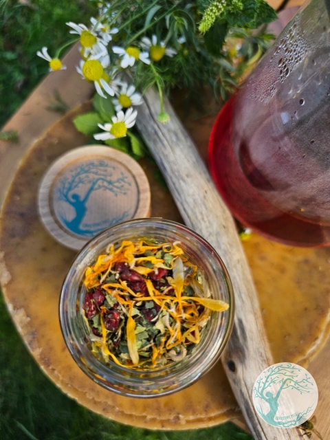 BERBERYS BALANCE – herbata ziołowa