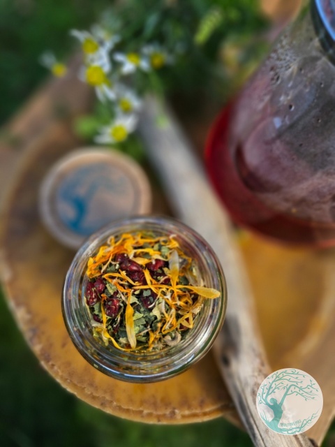 BERBERYS BALANCE – herbata ziołowa