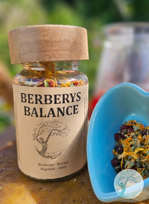 BERBERYS BALANCE – herbata ziołowa