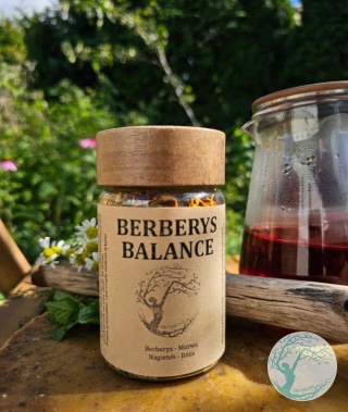 BERBERYS BALANCE – herbata ziołowa