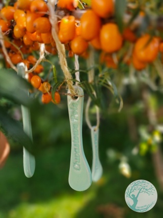 CERAMICZNE SZPATUŁKI DO KREMU