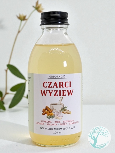 CZARCI WYZIEW – kurkuma, czosnek, imbir, czarny bez, szałwia, rozmaryn