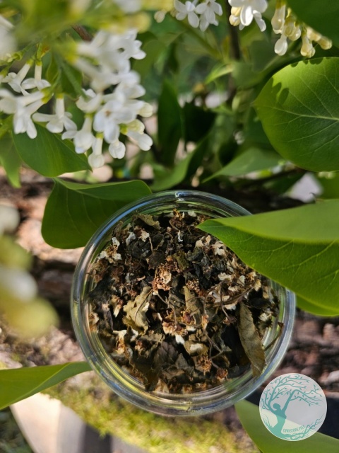 Czerem - Haaa! - UTLENIANY KWIAT CZEREMCHY