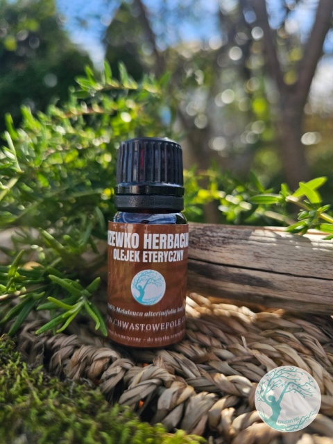 DRZEWKO HERBACIANE – naturalny olejek eteryczny