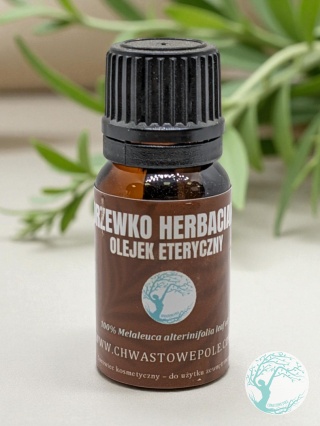 DRZEWKO HERBACIANE – naturalny olejek eteryczny
