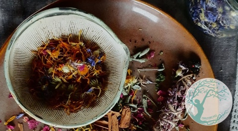 DZIKA BIBA - POTRÓJNE WARSZTATY Z NOCLEGIEM W SIEDLISKU "BIAŁE BŁOTA"