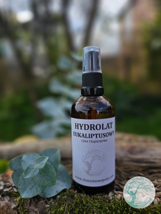 EUKALIPTUS – hydrolat dla cery tłustej, mieszanej, trądzikowej