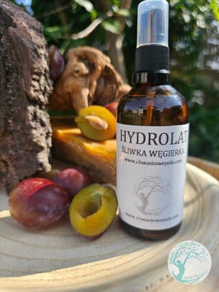 HYDROLAT ŚLIWKA WĘGIERKA