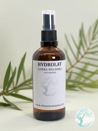 HYDROLAT ŚLIWKA WĘGIERKA