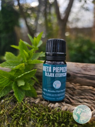 MIĘTA PIEPRZOWA – naturalny olejek eteryczny