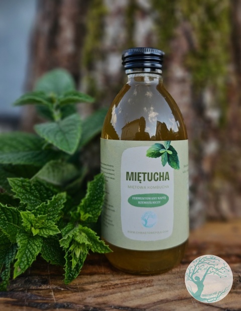 MIĘTUCHA – miętowa kombucha – 200 ml