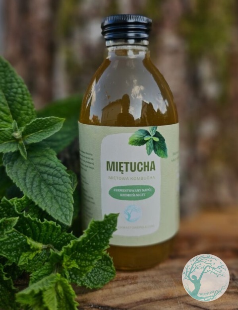 MIĘTUCHA – miętowa kombucha – 200 ml