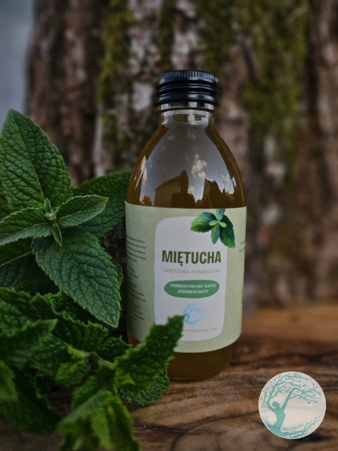 MIĘTUCHA – miętowa kombucha – 200 ml