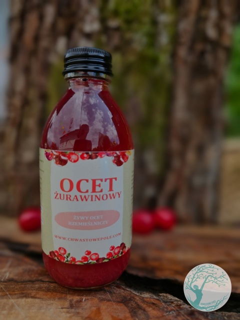 OCET Z ŻURAWINY BŁOTNEJ