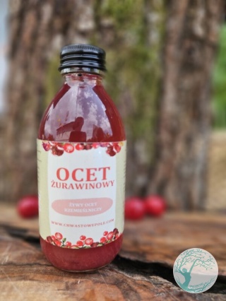 OCET Z ŻURAWINY BŁOTNEJ