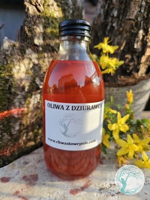 OLIWA Z DZIURAWCA
