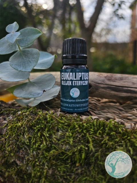 Olejek eteryczny z eukaliptusa – naturalny – 10 ml