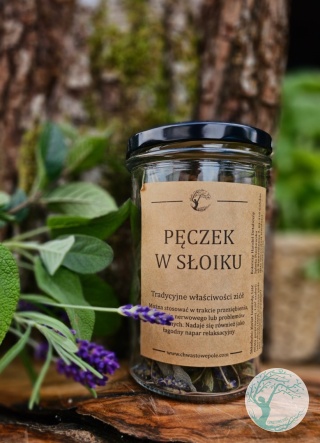 PĘCZEK W SŁOIKU -herbata premium
