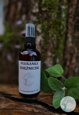 PŁUKANKA KSIĘŻNICZKI – włosy matowe pozbawione blasku