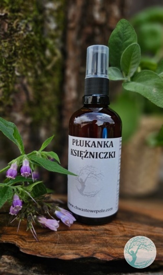 PŁUKANKA KSIĘŻNICZKI – włosy matowe pozbawione blasku