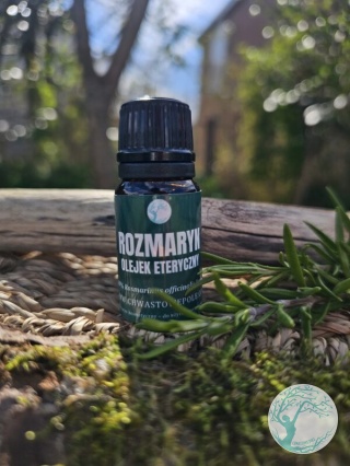 ROZMARYN – naturalny olejek eteryczny