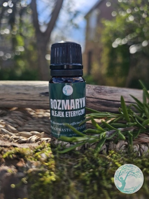 ROZMARYN – naturalny olejek eteryczny