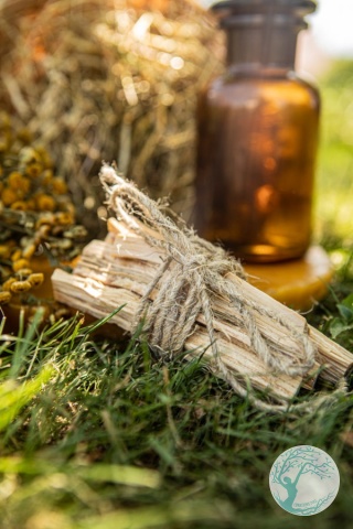 SOSNA SANTO – kadzidło z żywicznej sosny