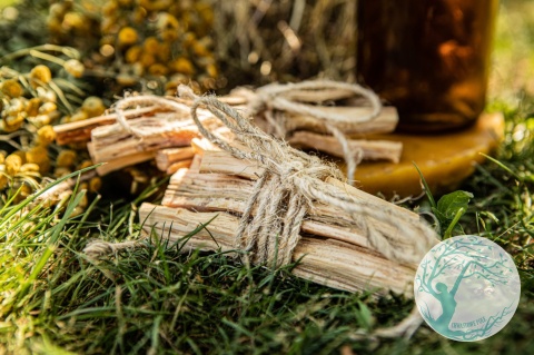 SOSNA SANTO – kadzidło z żywicznej sosny