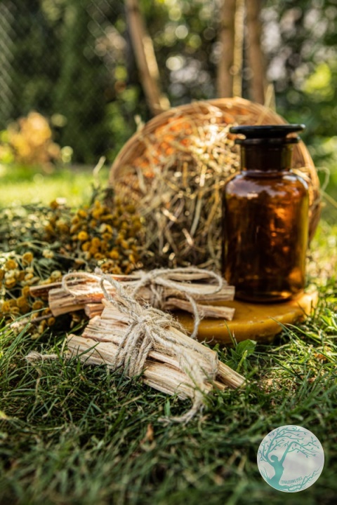 SOSNA SANTO – kadzidło z żywicznej sosny