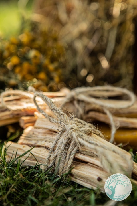 SOSNA SANTO – kadzidło z żywicznej sosny