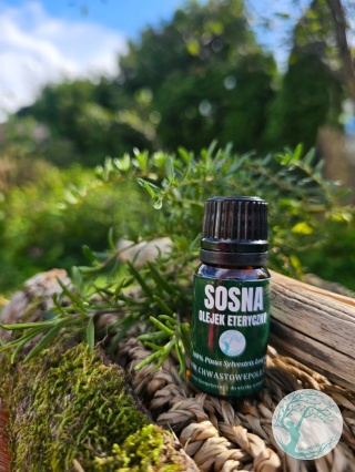 SOSNA – naturalny olejek eteryczny