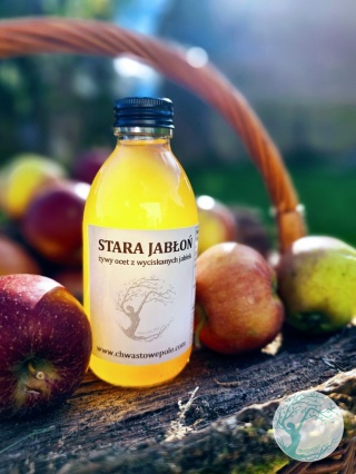 STARA JABŁONKA- żywy ocet
