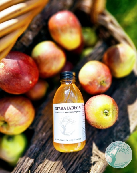STARA JABŁONKA- żywy ocet
