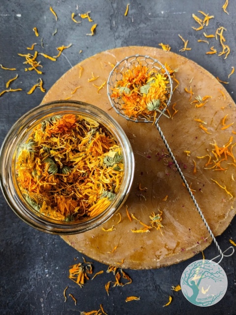 SUSZONY NAGIETEK LEKARSKI – Calendula Officinalis – 15 g