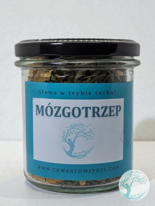 Mózgotrzep