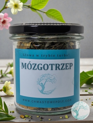 Mózgotrzep