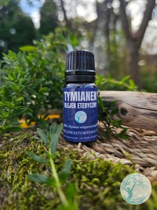 TYMIANEK- naturalny olejek eteryczny