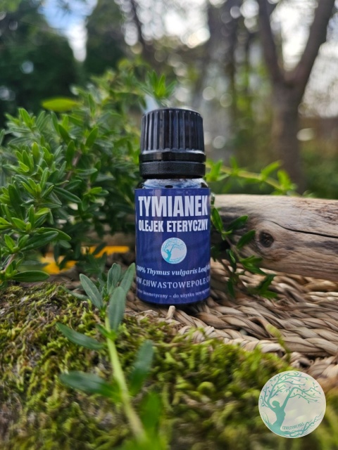 TYMIANEK- naturalny olejek eteryczny