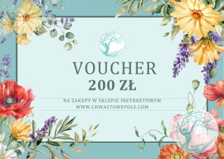 VOUCHER PREZENTOWY