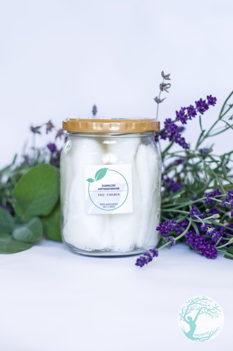 WARSZTAT – EKOLOGICZNA CHEMIA DOMOWA