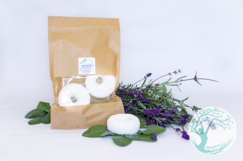 WARSZTAT – EKOLOGICZNA CHEMIA DOMOWA