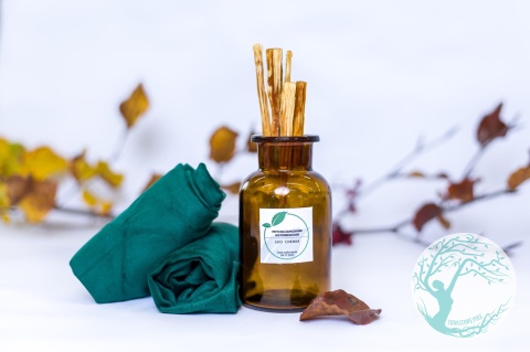 WARSZTAT – EKOLOGICZNA CHEMIA DOMOWA