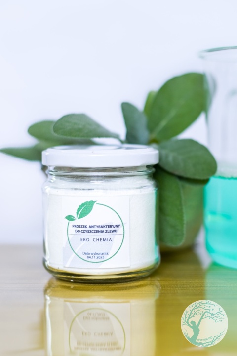 WARSZTAT – EKOLOGICZNA CHEMIA DOMOWA