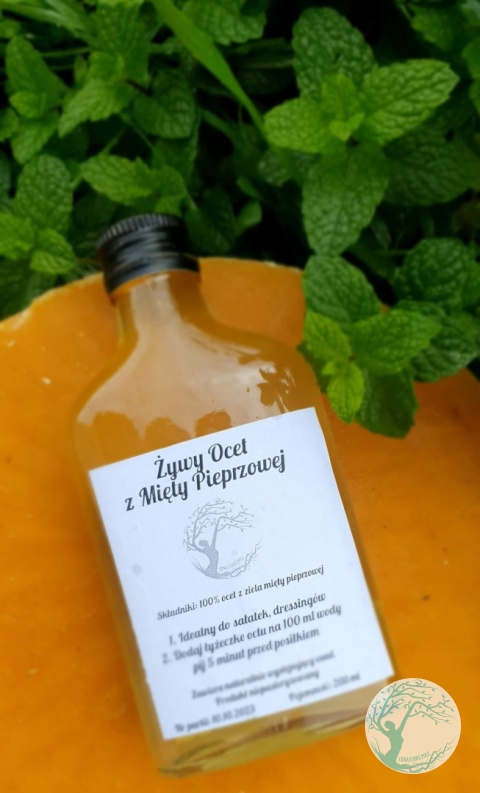 ŻYWY OCET Z MIĘTY PIEPRZOWEJ – 200 ml
