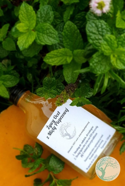 ŻYWY OCET Z MIĘTY PIEPRZOWEJ – 200 ml