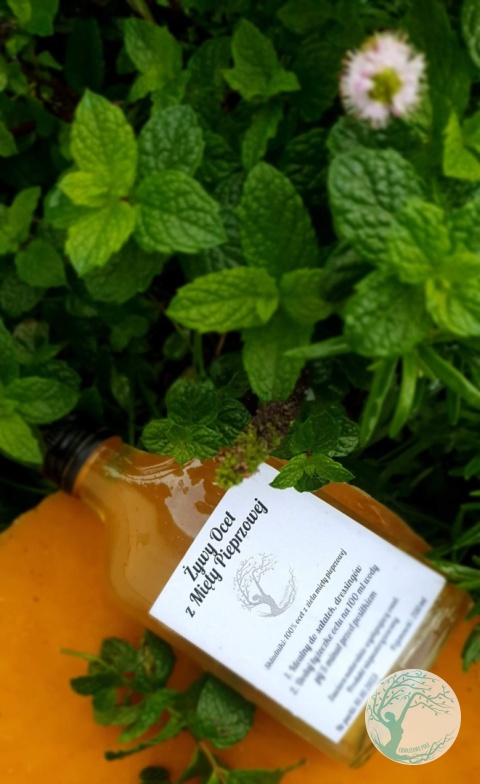 ŻYWY OCET Z MIĘTY PIEPRZOWEJ – 200 ml