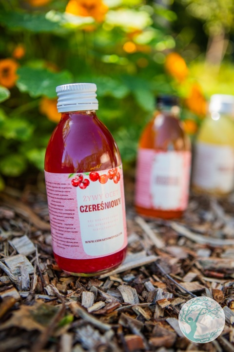 ŻYWY OCET Z OWOCÓW CZEREŚNI