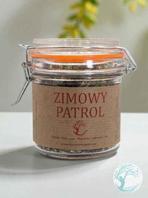 Zimowy patrol