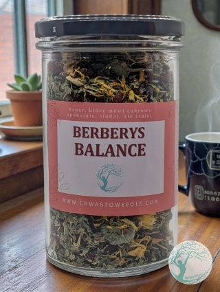 BERBERYS BALANCE – herbata ziołowa