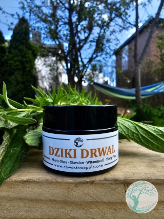 DZIKI DRWAL - krem do twarzy dla mężczyzn
